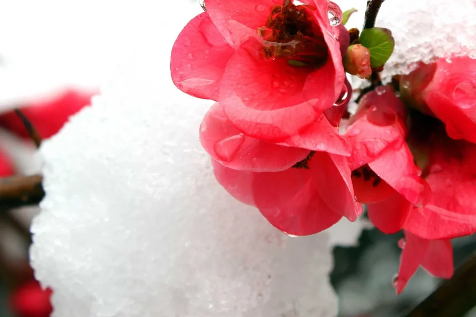 exc-5e3daaf40bc32d59a84f56e6