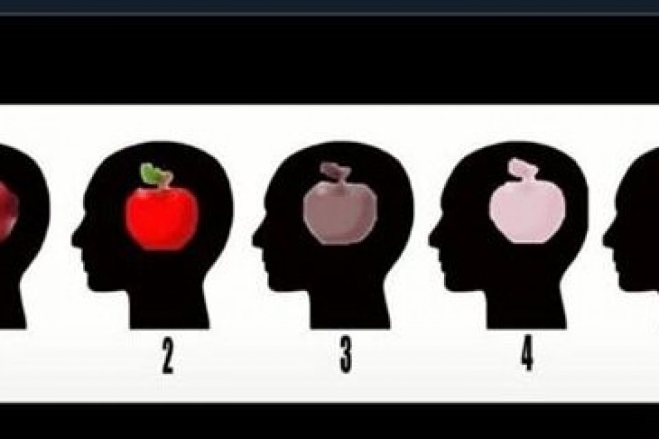 exc-5e5542ea57337953c2cf1434