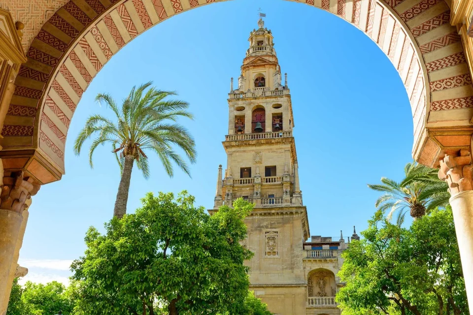 exc-5e668e67a9122a6ebafbe50a