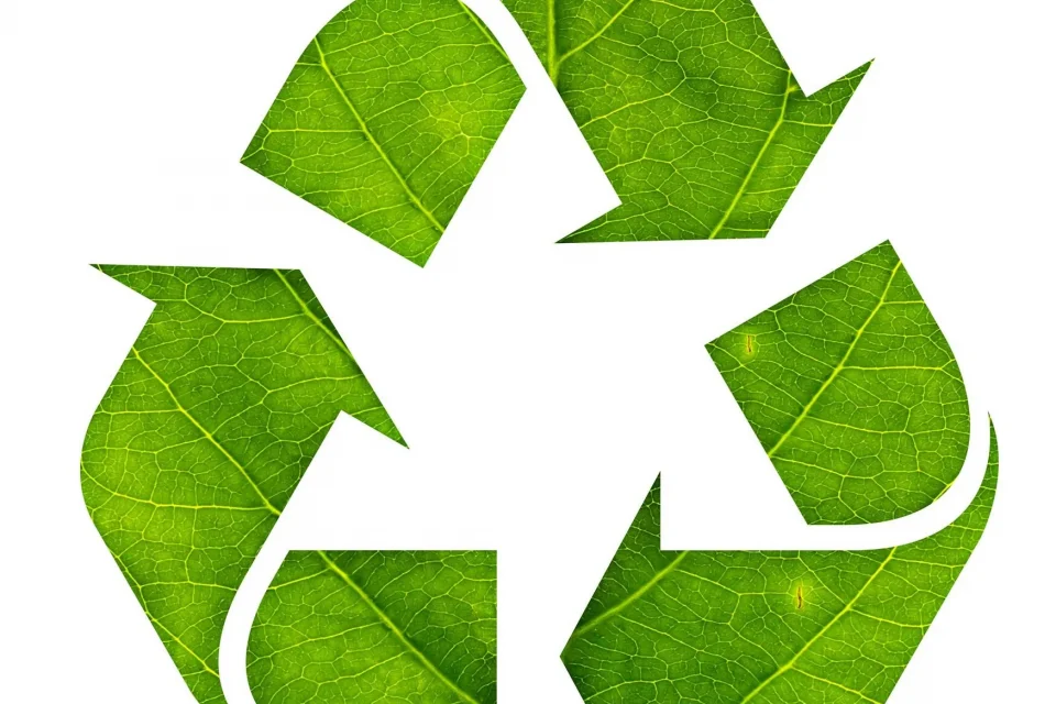 exc-5e73ae0e1d316370d4b8b167