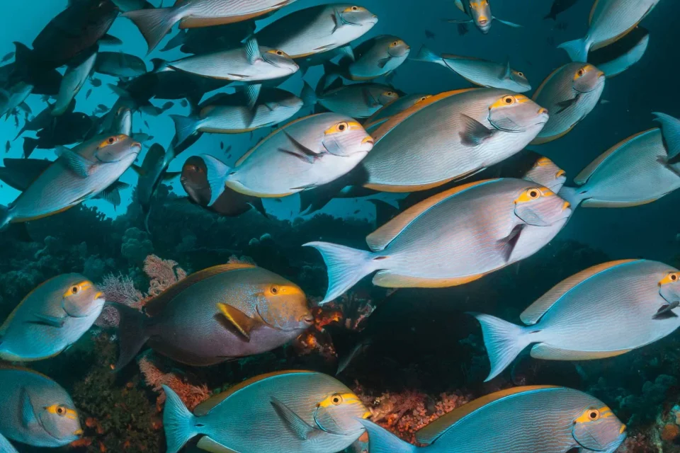 exc-5f7c9fe9fe97b840648f8c7b