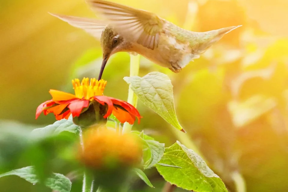 exc-5f7c98efd06f8147ca467d42