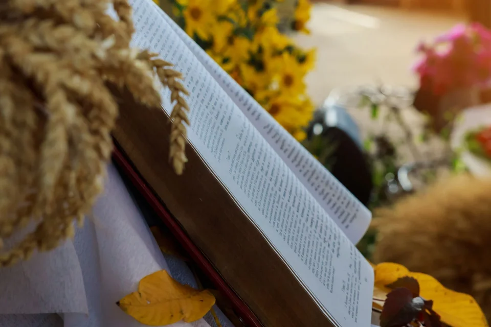 exc-5f9839c85908e81fe701030b