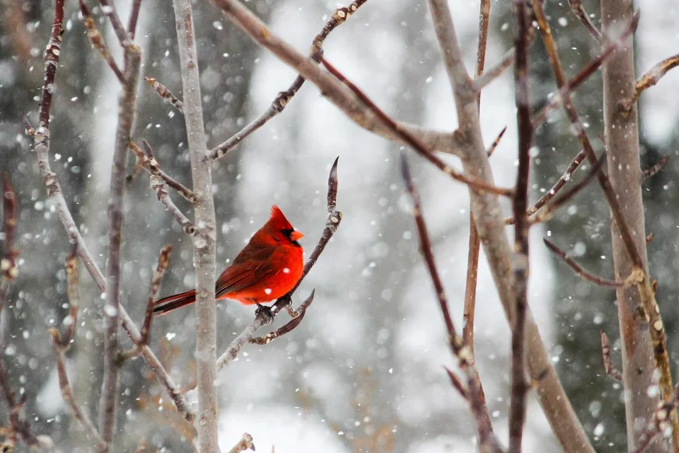 exc-5fce90b7353ec9002082f464