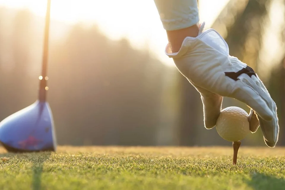 exc-5fd1150e1d165f75277f5347