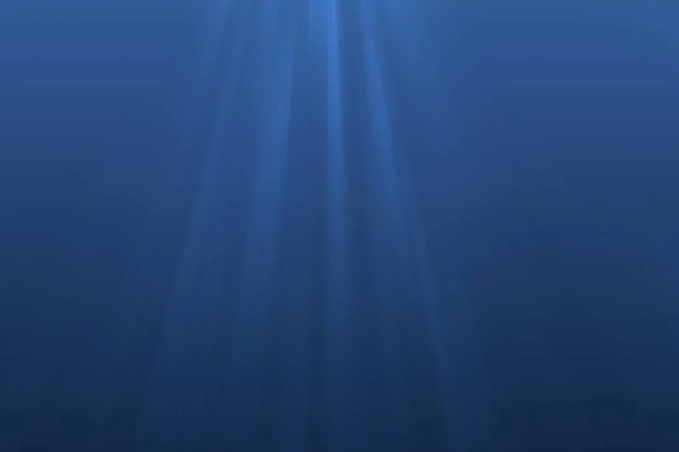 exc-5fd8f5d96b169b3518acc0f6