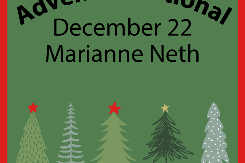 exc-656f51fb5eaa0d7bd489e25b