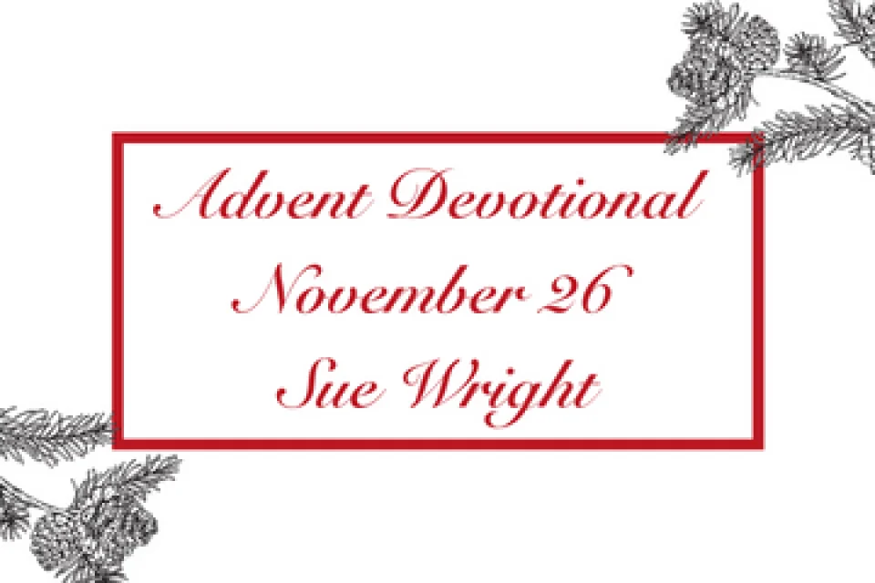 exc-6377d9e477b2d0334539d5b8