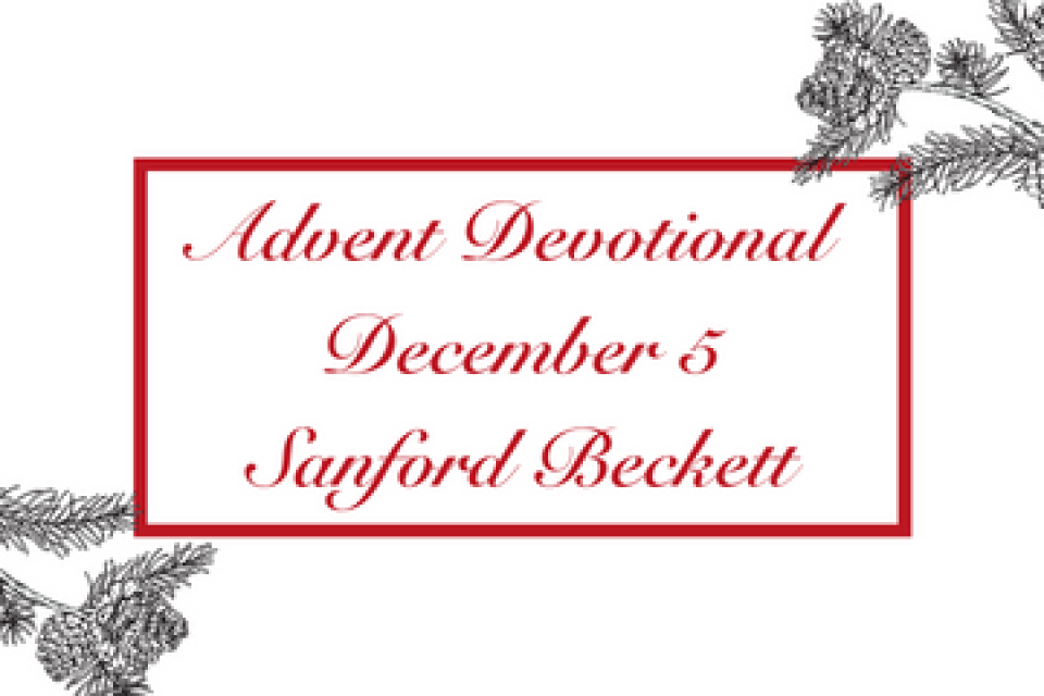 exc-6377e7dc14f2a116de3709d9