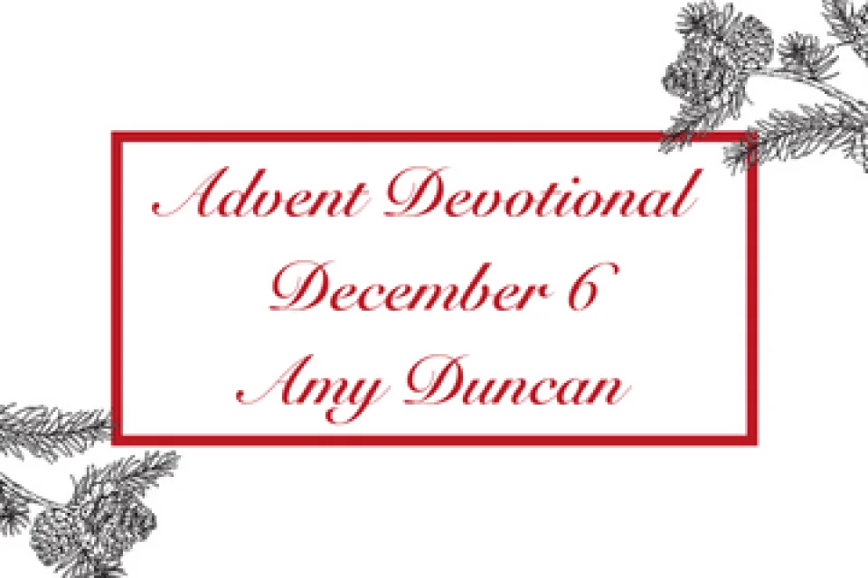 exc-6377e910de8209382b3d4268