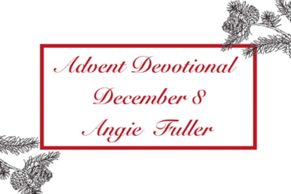 exc-6377eb0f5eb8fe75164a171c