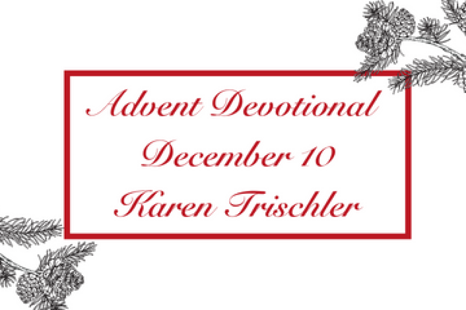 exc-6388fcfbafc8544189e1f16a