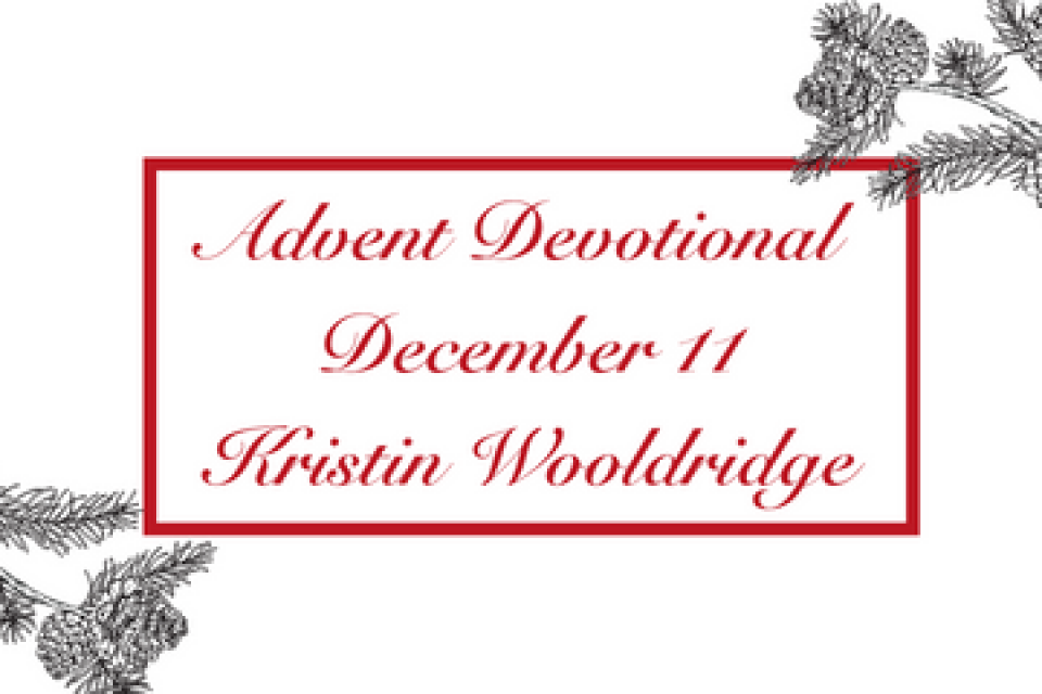 exc-6388fe915025cf04310ef1b9