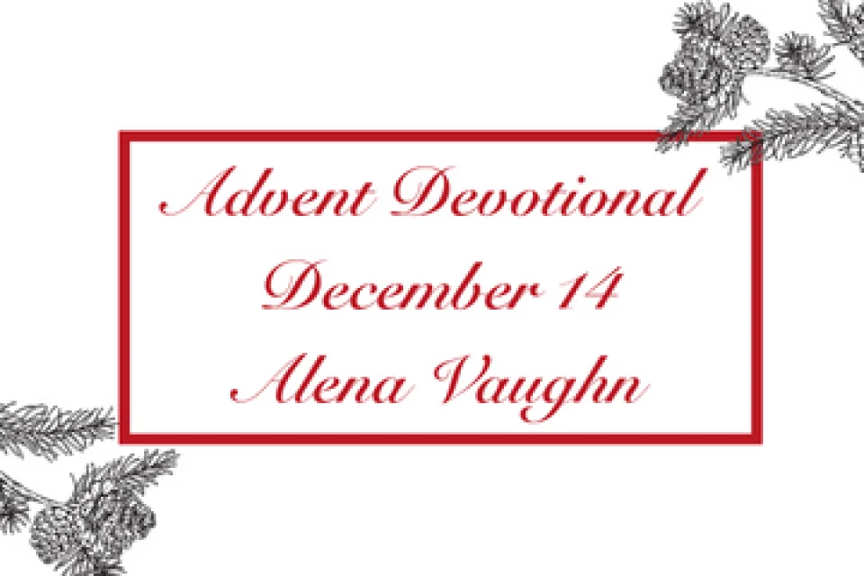 exc-63890327a3a478730c9f86f7