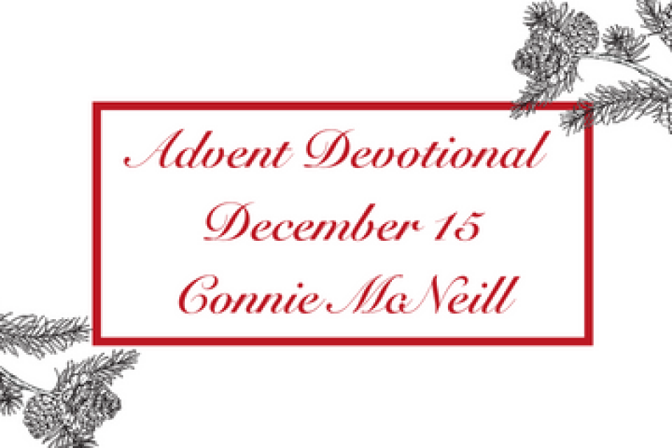 exc-638905217ca0e9289fc148b4