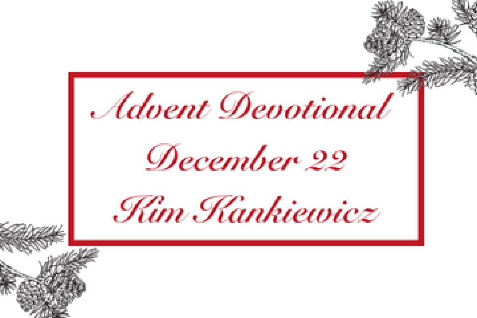 exc-63890e7ec5b5e61bf7d18080