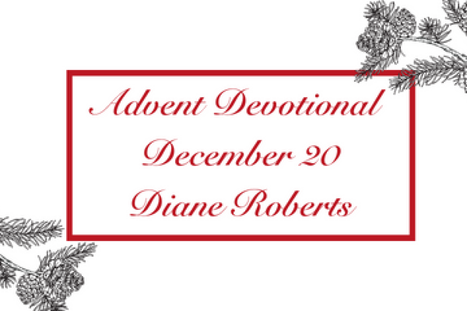 exc-639398854fdf1240291840ae