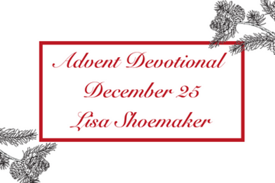 exc-63939a3cbbe8c94788fcb42d