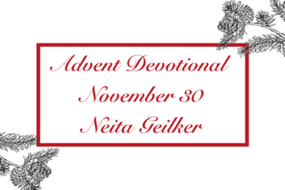 exc-6377dfab6937e27e45364abe