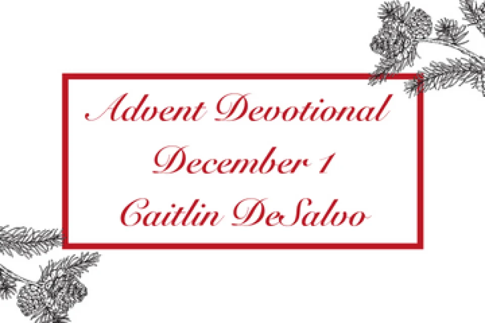 exc-6377e0d3610a3221f6d4ff2f