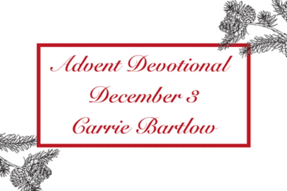 exc-6377e4c8758c045faa7480f6