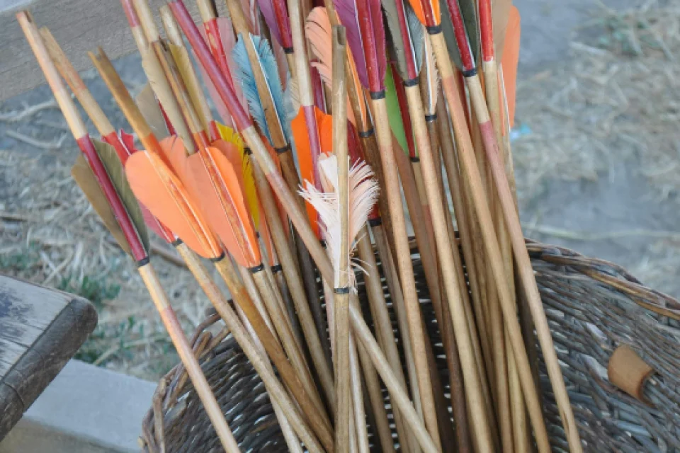 exc-692dcdf17640bd0924d410a1