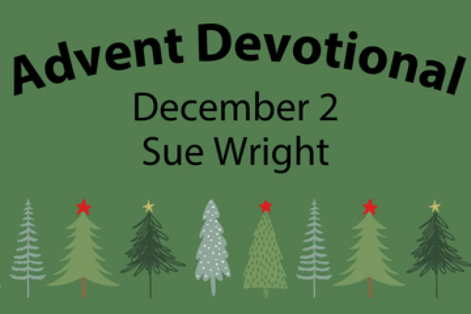 exc-6566381844317d4e6c46dcd2