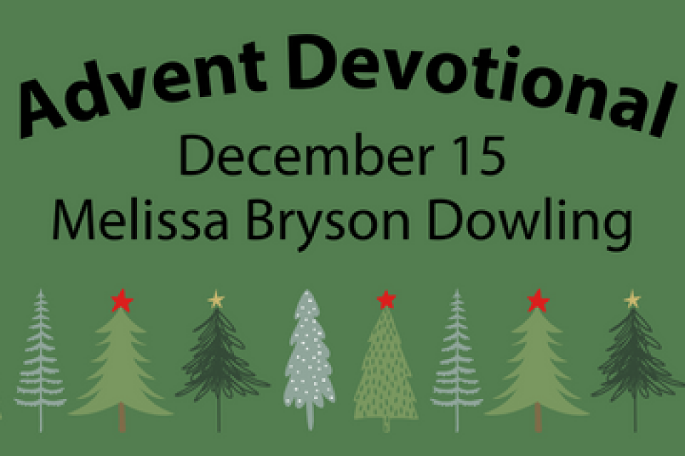 exc-65664e0d76b2c56d891acb4c