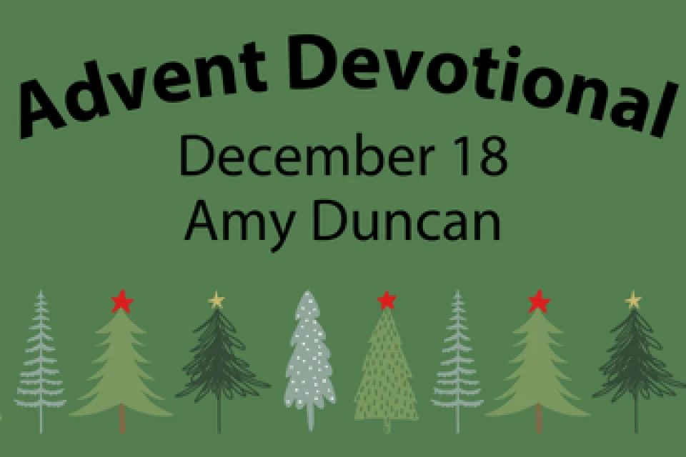 exc-656748103d6a043f58bbdfb6