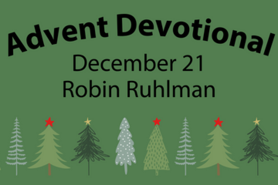 exc-656f4fb20322540464279d4e