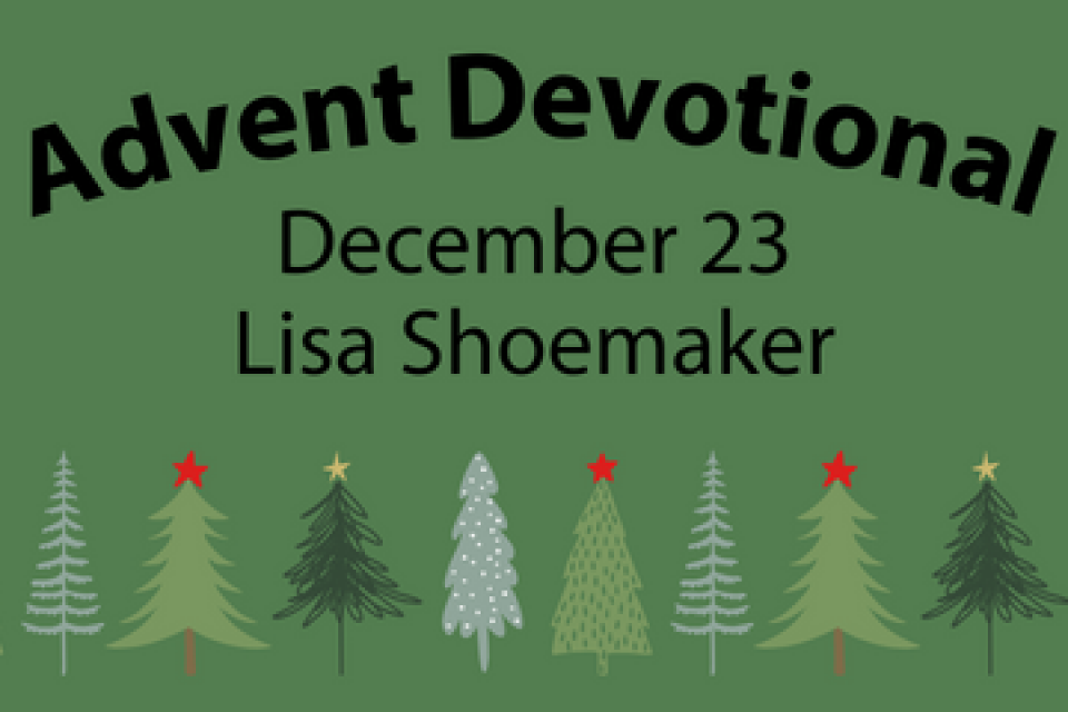 exc-656f535f3d23b338626d1e72