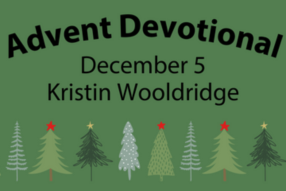 exc-65663db3a76be3136001257c