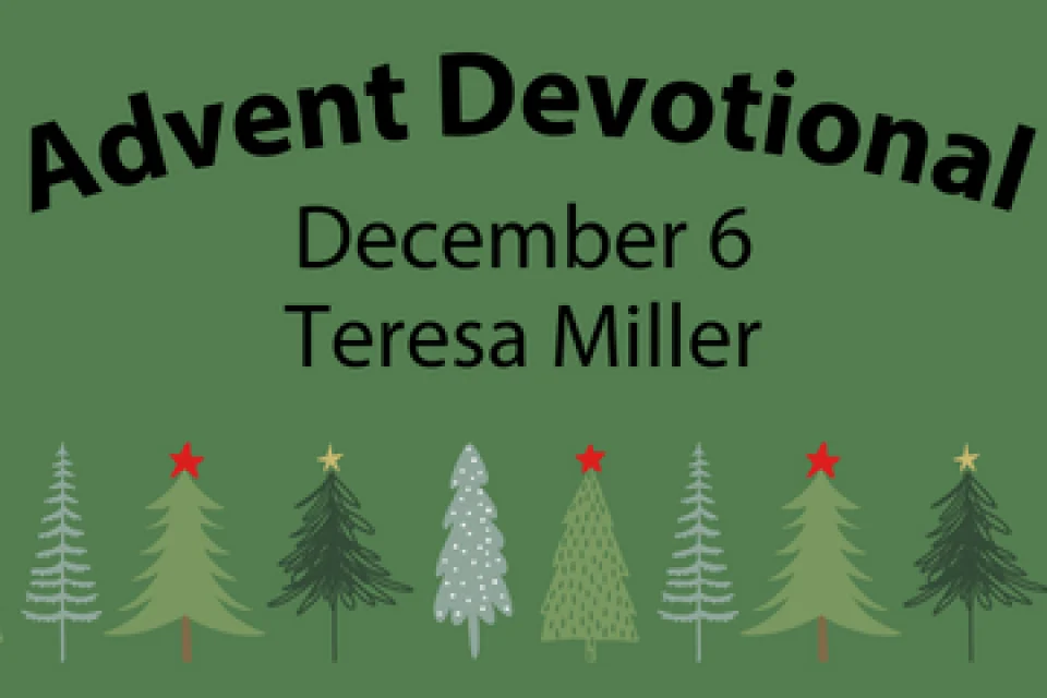 exc-65663f16319bf92e4e3bcedd