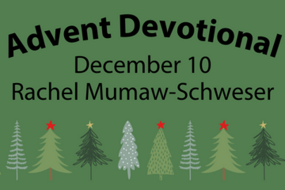 exc-656645430bbe2574653fcc45