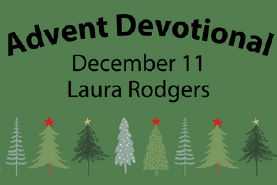 exc-65664721cad19f64bb434c16