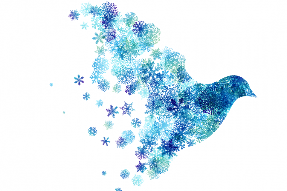 exc-5fb4029f11d3772eedf6eac1