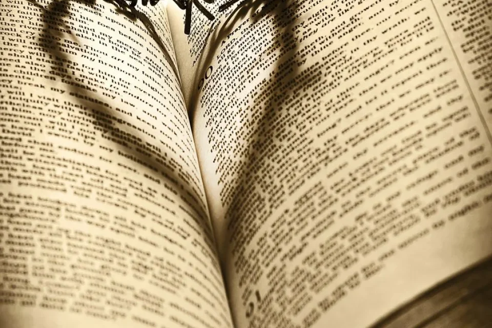 exc-673b6e954401466203188fb1