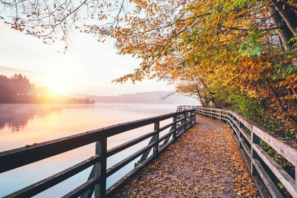 exc-5f7c9437103a853d22da2201