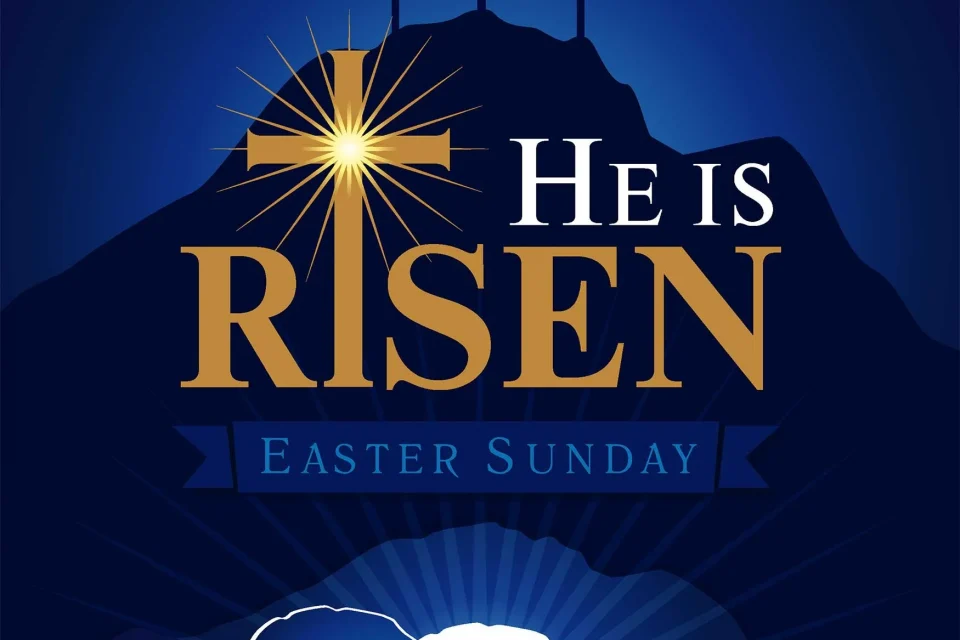 exc-5e8fa080cb5e466d7022c73a