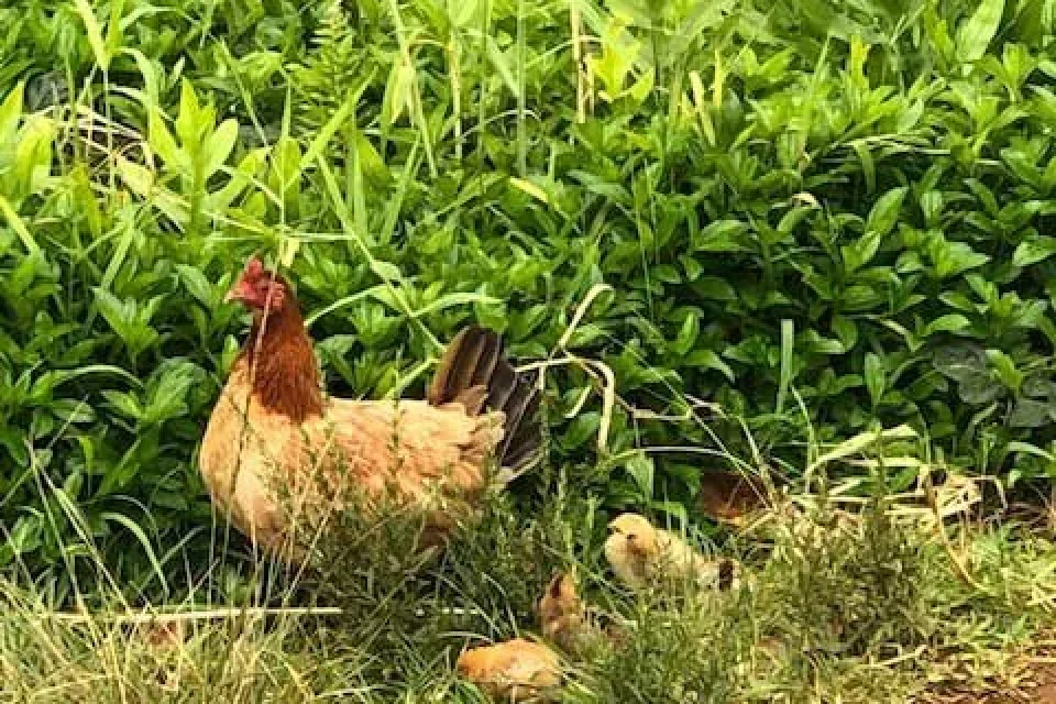 exc-5eb025af838a9a2168d3ab09