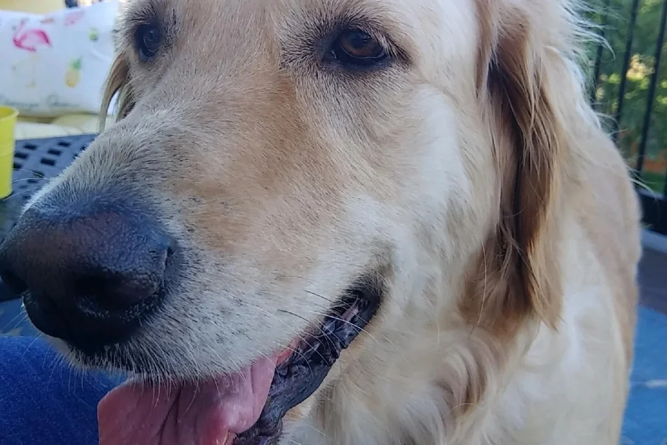 exc-6050bb5b1b8c096b4ff7cd66