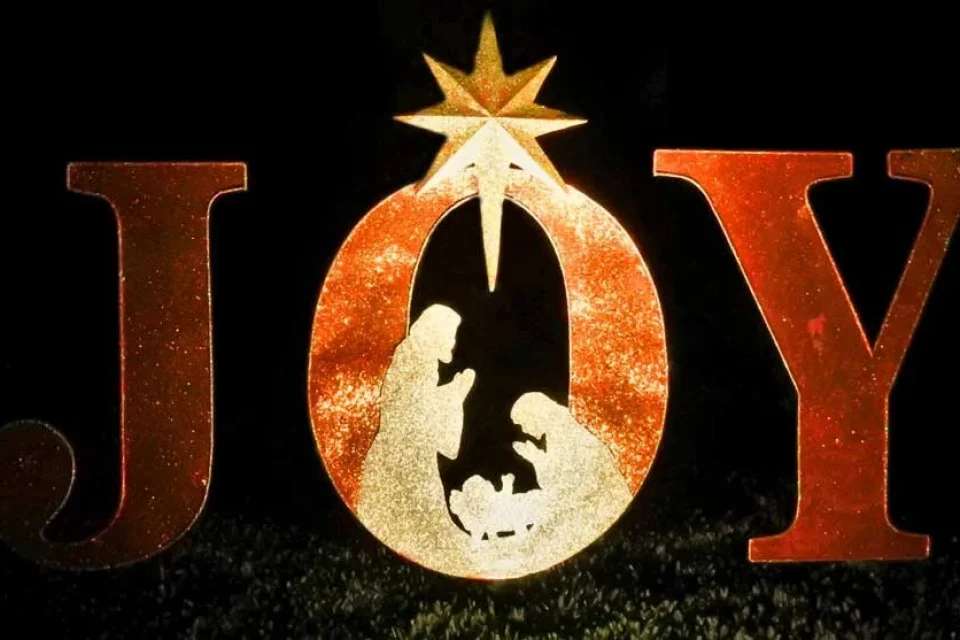 exc-5dfc1a4c61d2a378c660ad9b