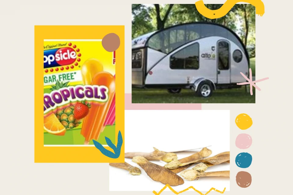 exc-60a66e444dcb02030b255cd7