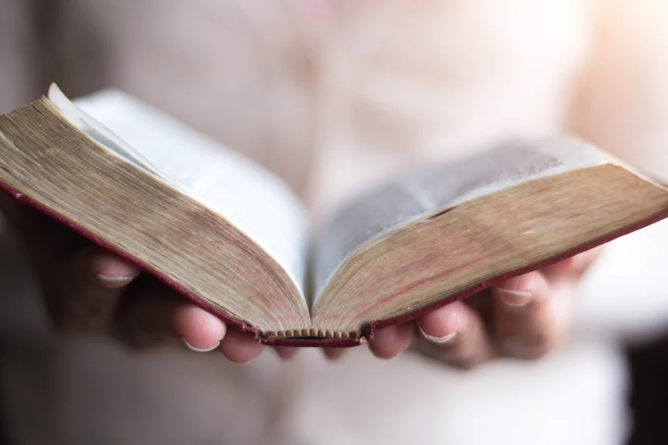 exc-621d3c04140a900eaceea2b4