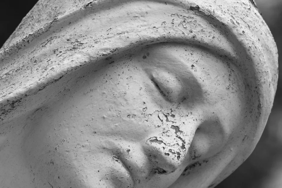 exc-5df3bd884e0d57635d2e8fc9