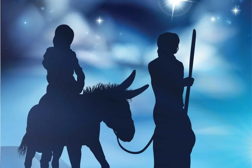 exc-5ddc49fa3d0c4721e3ee434b