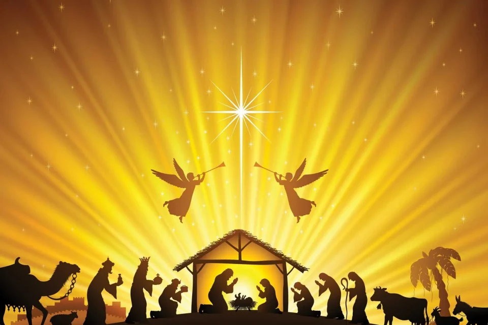 exc-5dee82b9ac43c868ac5539bc