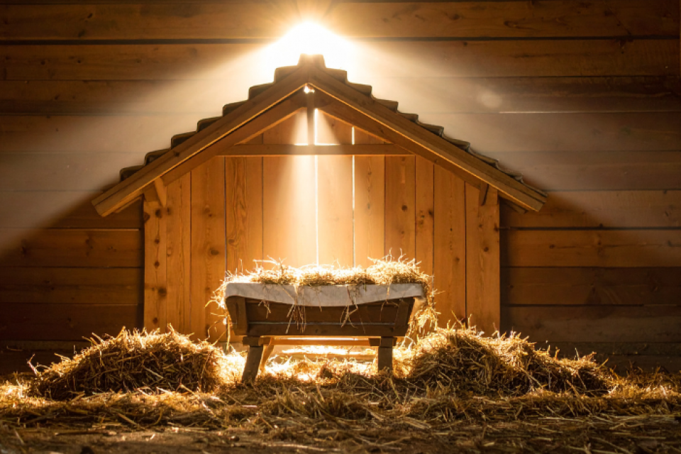 exc-692dc9c30759705d9cd235b8