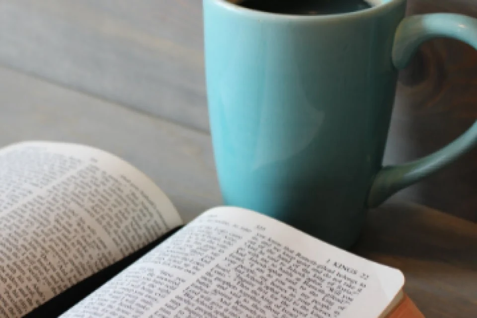 exc-62cd8b11a6e7d7416452a61a