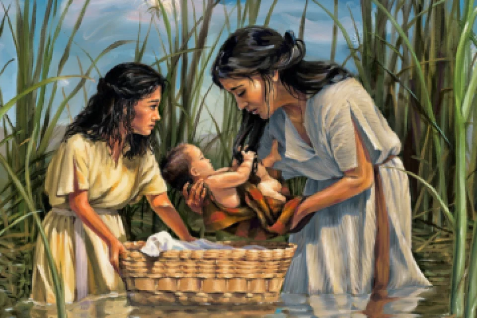 exc-6526e9f92f8bb242f8b78951